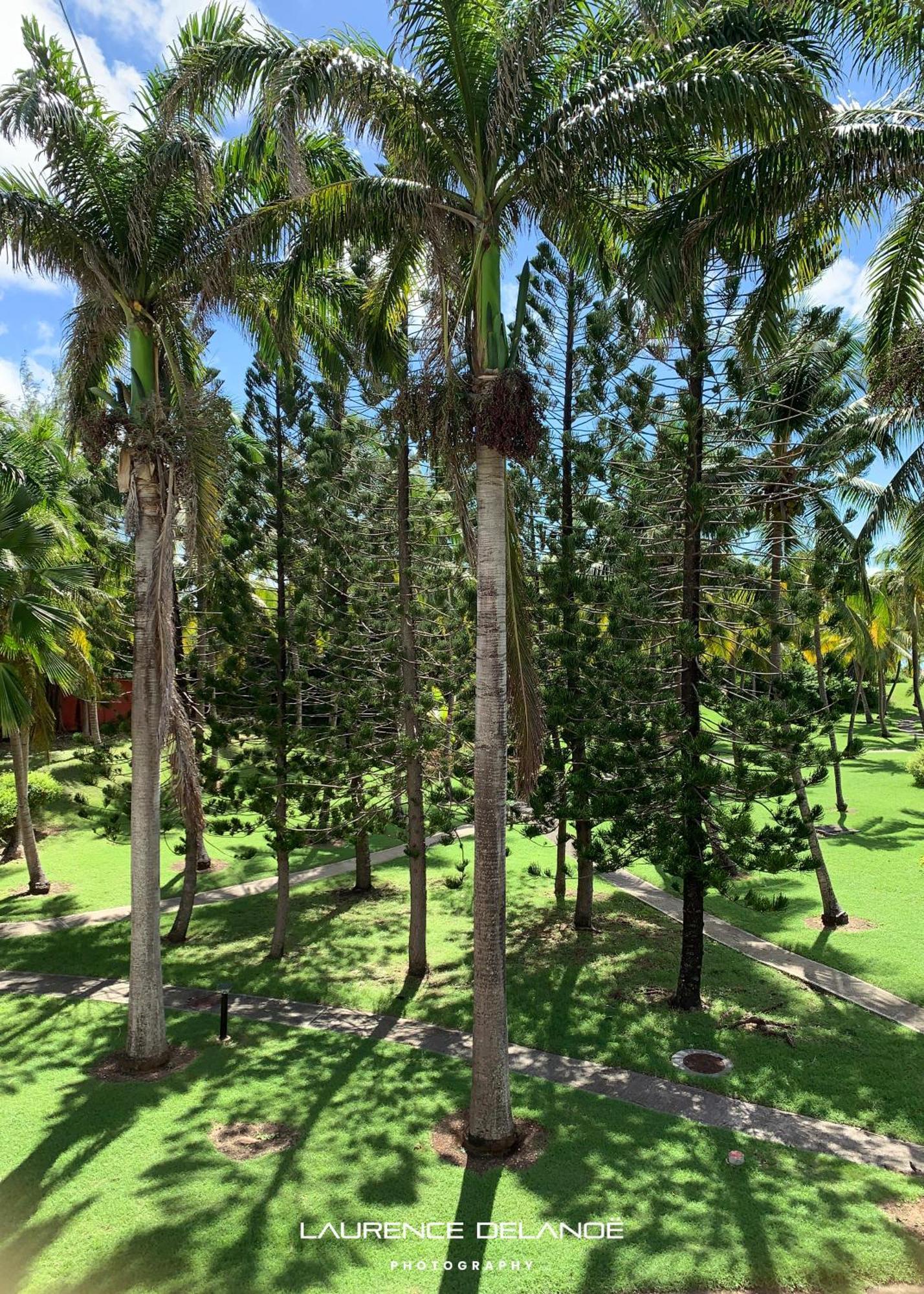 Appartement Varangue, Anse Des Rochers Saint-Francois (Grande-Terre) Exterior foto